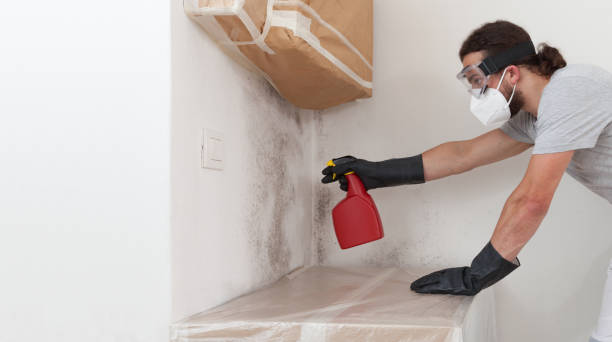 Professional Mold Remediation technician working in Hunters Creek, FL